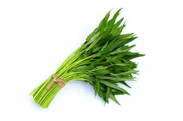 Kangkung
