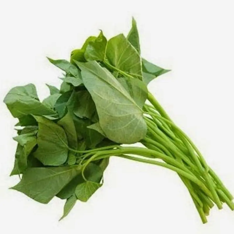 Daun ketela rambat