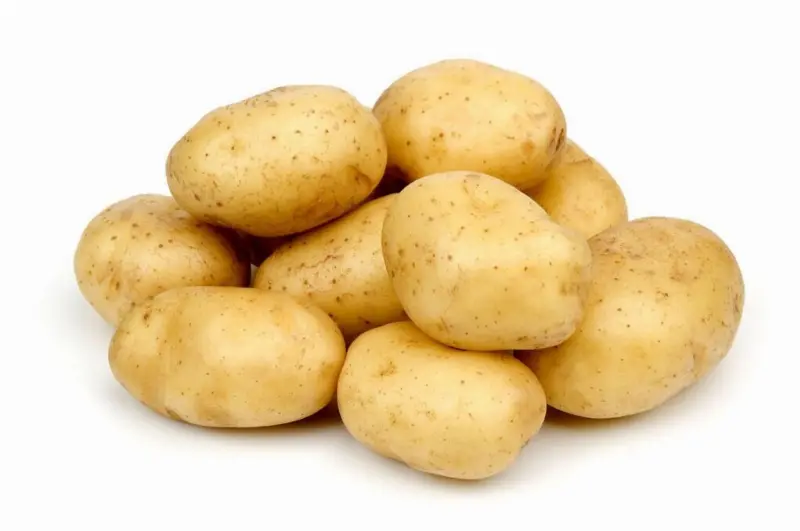Kentang ( TO, BC, PL, GL) 