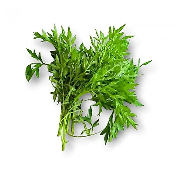 Daun kenikir