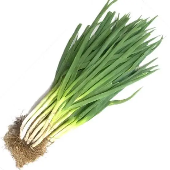 Daun pre